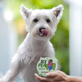 Singapore Creamier Handcrafted Ice Cream Pup Cup: dog shoot with ice pea