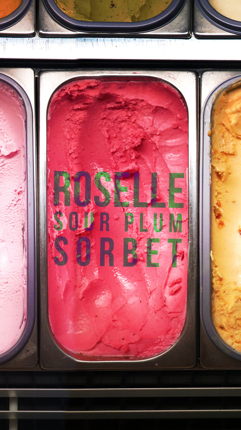 Roselle Sour Plum Sorbet