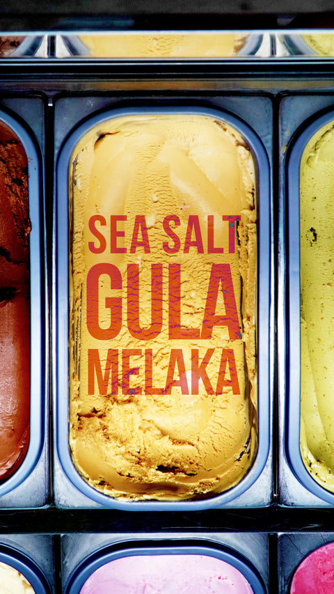 Singapore Creamier Handcrafted Ice Cream Sea Salt Gula Melaka On Tub Front Facing