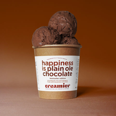 Singapore Creamier Handcrafted Ice Cream plain ole chocolate scoops on pint