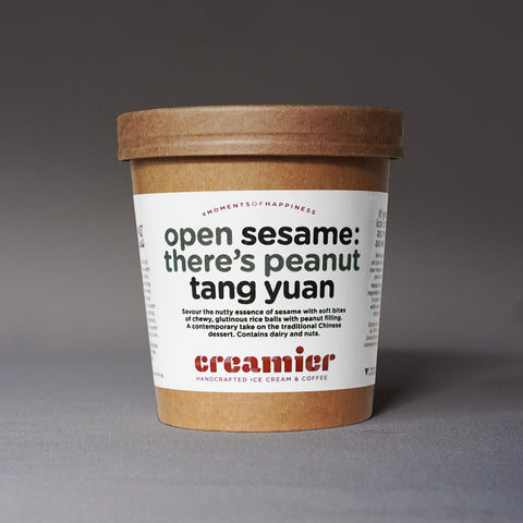 Singapore Creamier Handcrafted Ice Cream sesame tang yuan pint