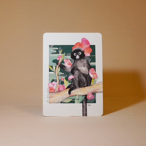 Pack of 5 Artcards