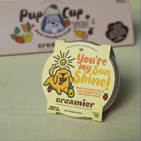 Pup Cup: You're My Sunshine! (Doggie Ice Cream)